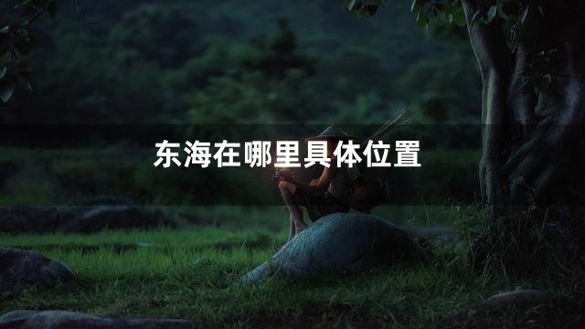 东海在哪里具体位置
