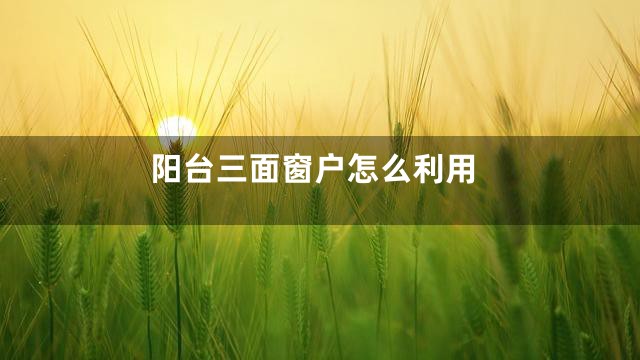 阳台三面窗户怎么利用