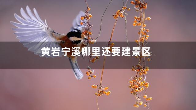 黄岩宁溪哪里还要建景区