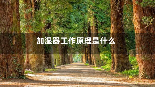 加湿器工作原理是什么