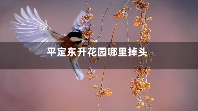 平定东升花园哪里掉头