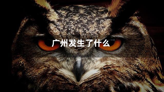广州发生了什么
