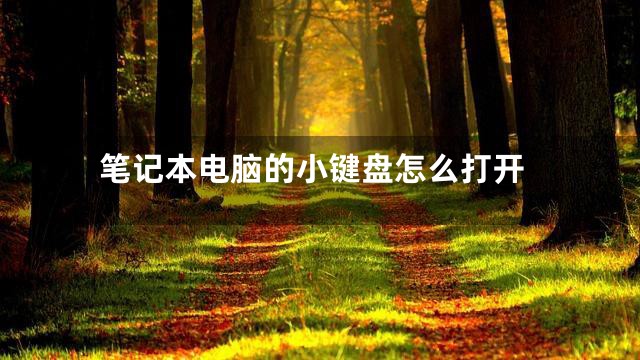 笔记本电脑的小键盘怎么打开