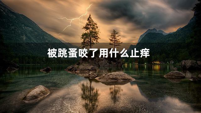 被跳蚤咬了用什么止痒