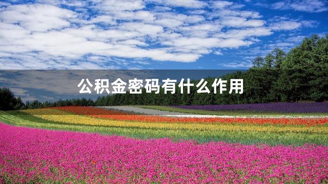 公积金密码有什么作用