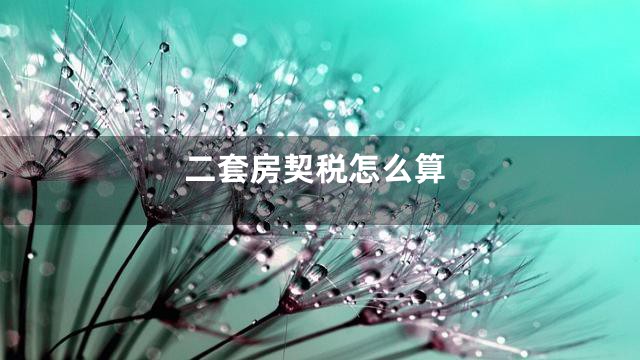 二套房契税怎么算