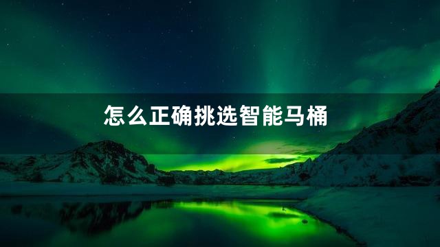 怎么正确挑选智能马桶