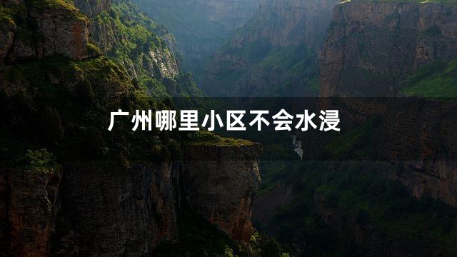 广州哪里小区不会水浸