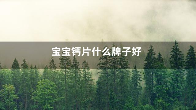 宝宝钙片什么牌子好