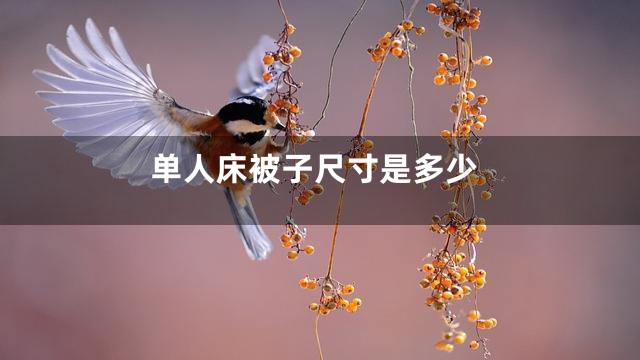 单人床被子尺寸是多少