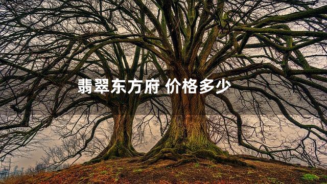 翡翠东方府 价格多少