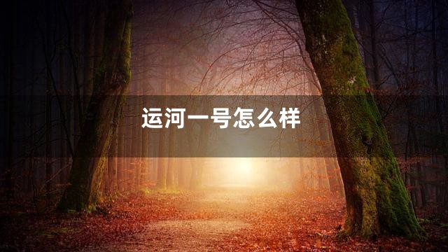 运河一号怎么样