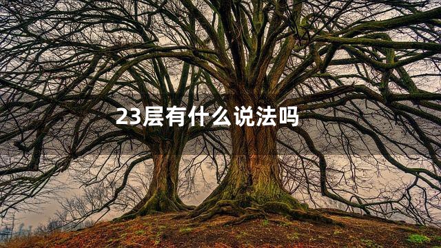 23层有什么说法吗