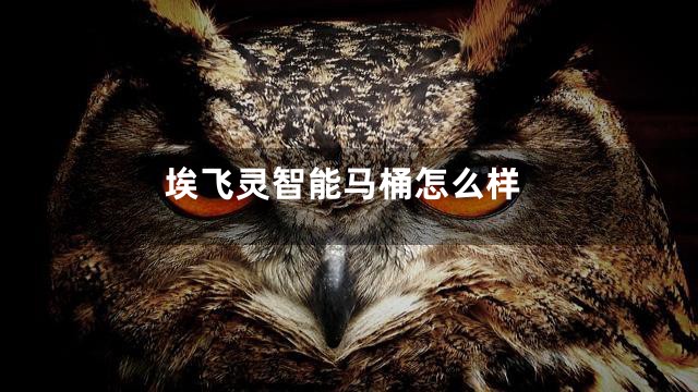 埃飞灵智能马桶怎么样