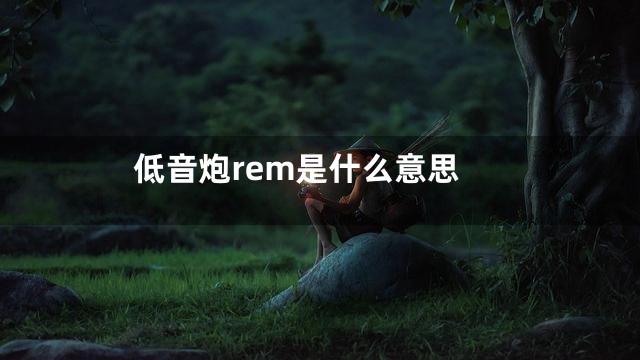 低音炮rem是什么意思