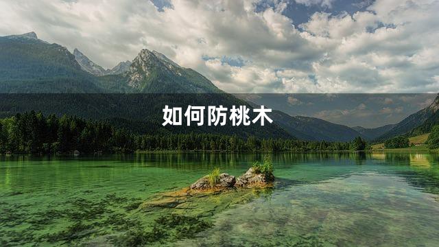 如何防桃木