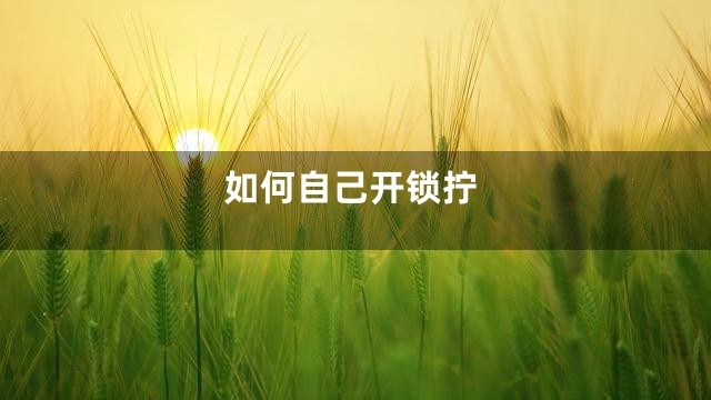 如何自己开锁拧