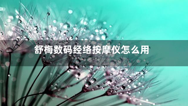 舒梅数码经络按摩仪怎么用