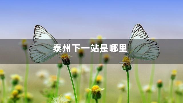 泰州下一站是哪里