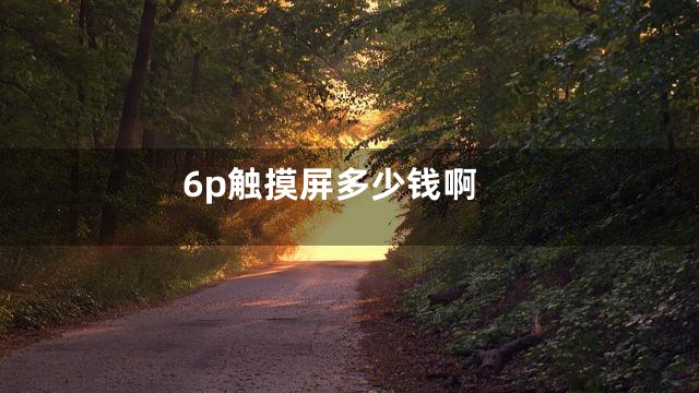 6p触摸屏多少钱啊