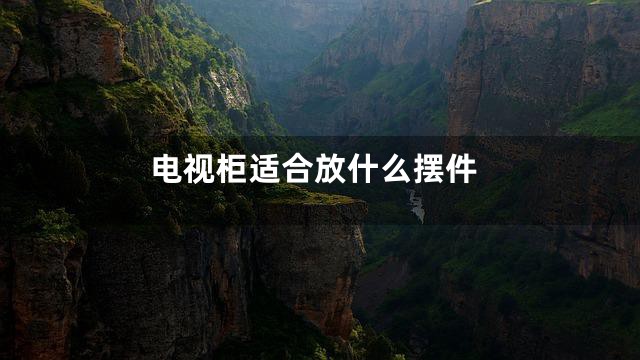 电视柜适合放什么摆件