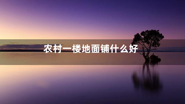 农村一楼地面铺什么好