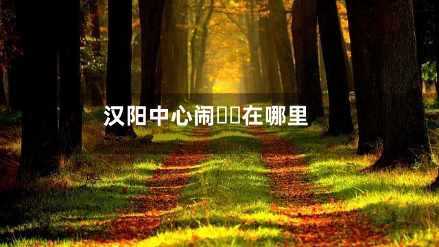 汉阳中心闹在哪里