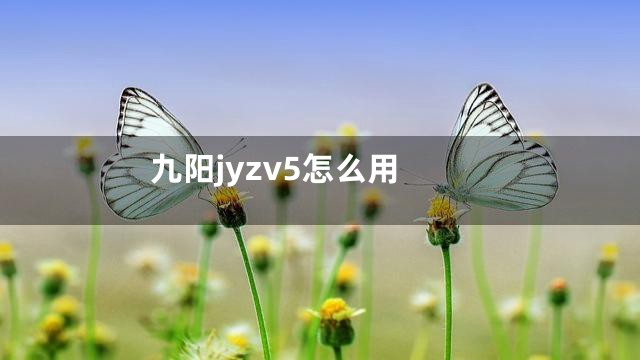 九阳jyzv5怎么用