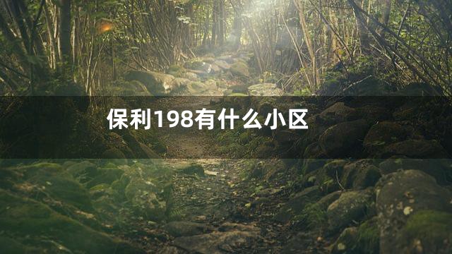 保利198有什么小区