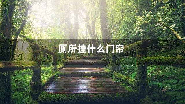 厕所挂什么门帘