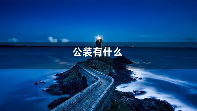 公装有什么