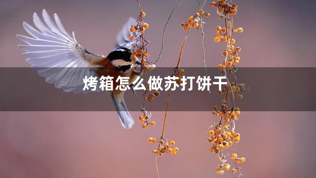 烤箱怎么做苏打饼干