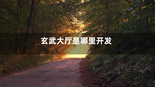 玄武大厅是哪里开发