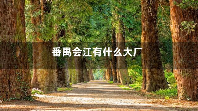 番禺会江有什么大厂