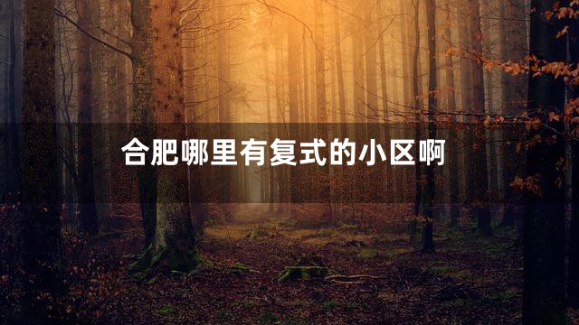 合肥哪里有复式的小区啊