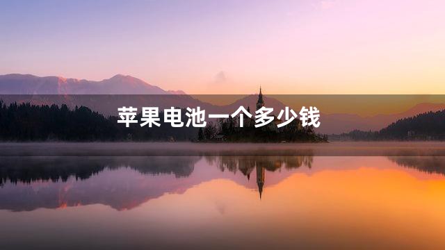 苹果电池一个多少钱