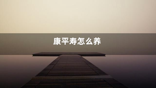 康平寿怎么养