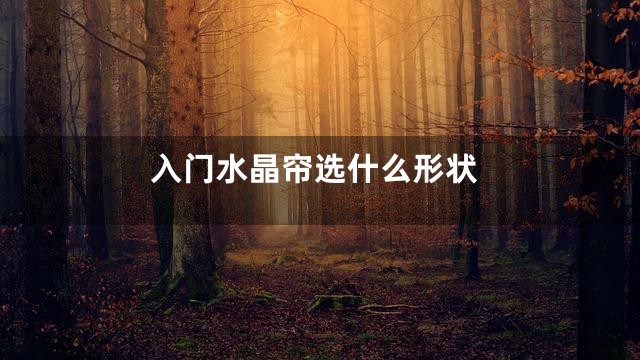 入门水晶帘选什么形状