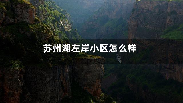 苏州湖左岸小区怎么样