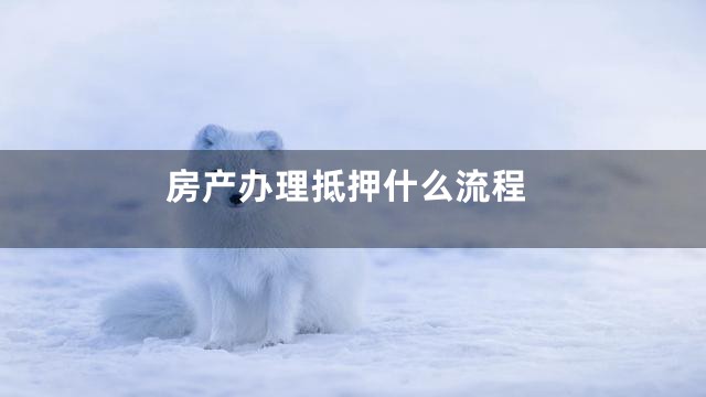 房产办理抵押什么流程