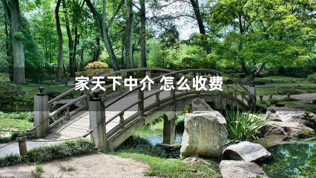 家天下中介 怎么收费