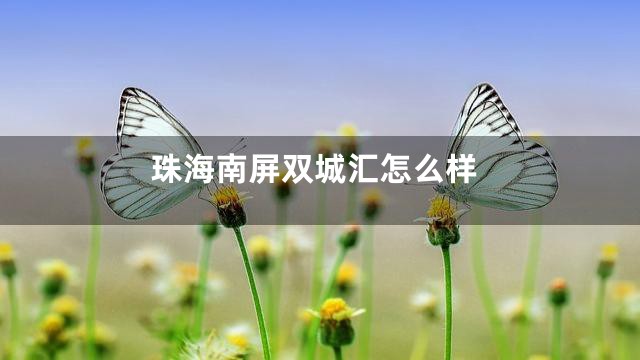 珠海南屏双城汇怎么样