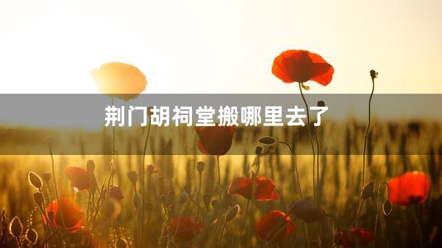 荆门胡祠堂搬哪里去了