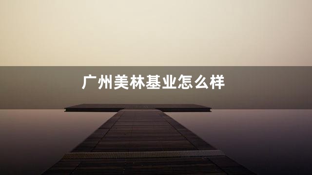 广州美林基业怎么样