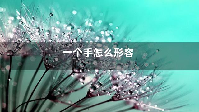 一个手怎么形容