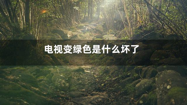 电视变绿色是什么坏了