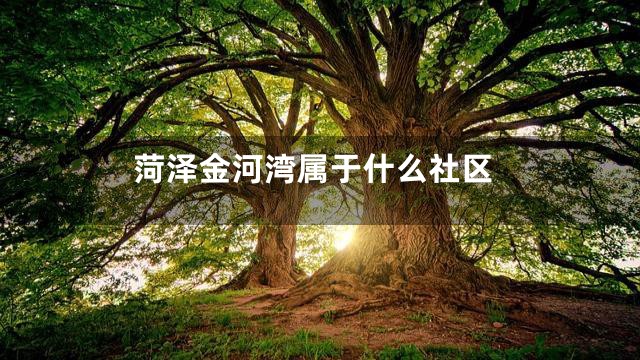 菏泽金河湾属于什么社区