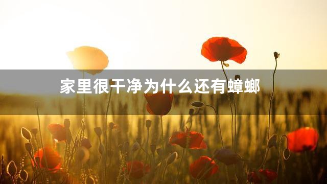 家里很干净为什么还有蟑螂