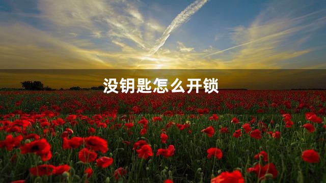 没钥匙怎么开锁