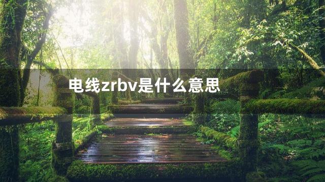 电线zrbv是什么意思